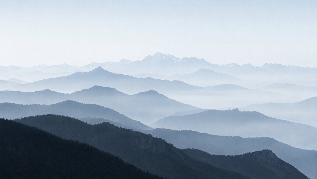 NorthPeak banner generic