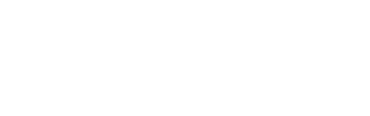 NorthPeak logo